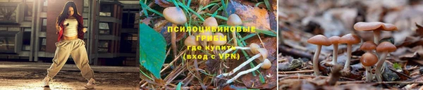 СК Алексеевка