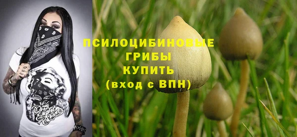 СК Алексеевка